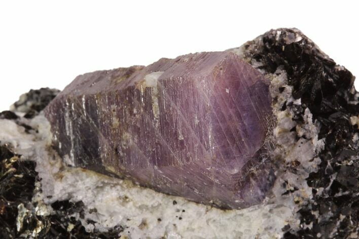 Corundum (Sapphire) Crystal in Mica Schist Matrix - Norway #94436